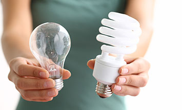 holding-lightbulbs 